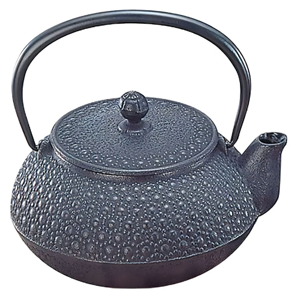 http://www.globalkitchenjapan.com/cdn/shop/products/IwachuCastIronTeapotKikko12003_600x.jpg?v=1654608367