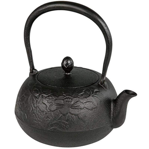 Ikenaga tetu Nambu Cast Iron Tetsukyusu Teapot