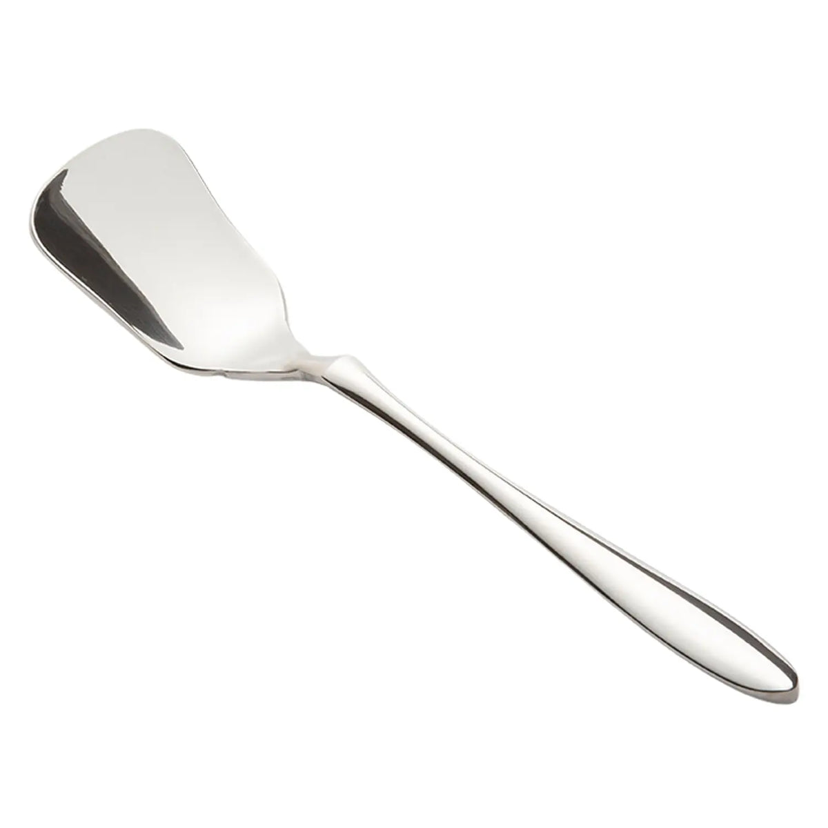 Asahi Bonheur Stainless Steel Ice Cream Spoon