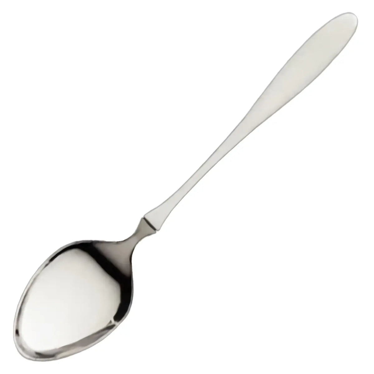 Asahi Bonheur Stainless Steel Large Tea Spoon