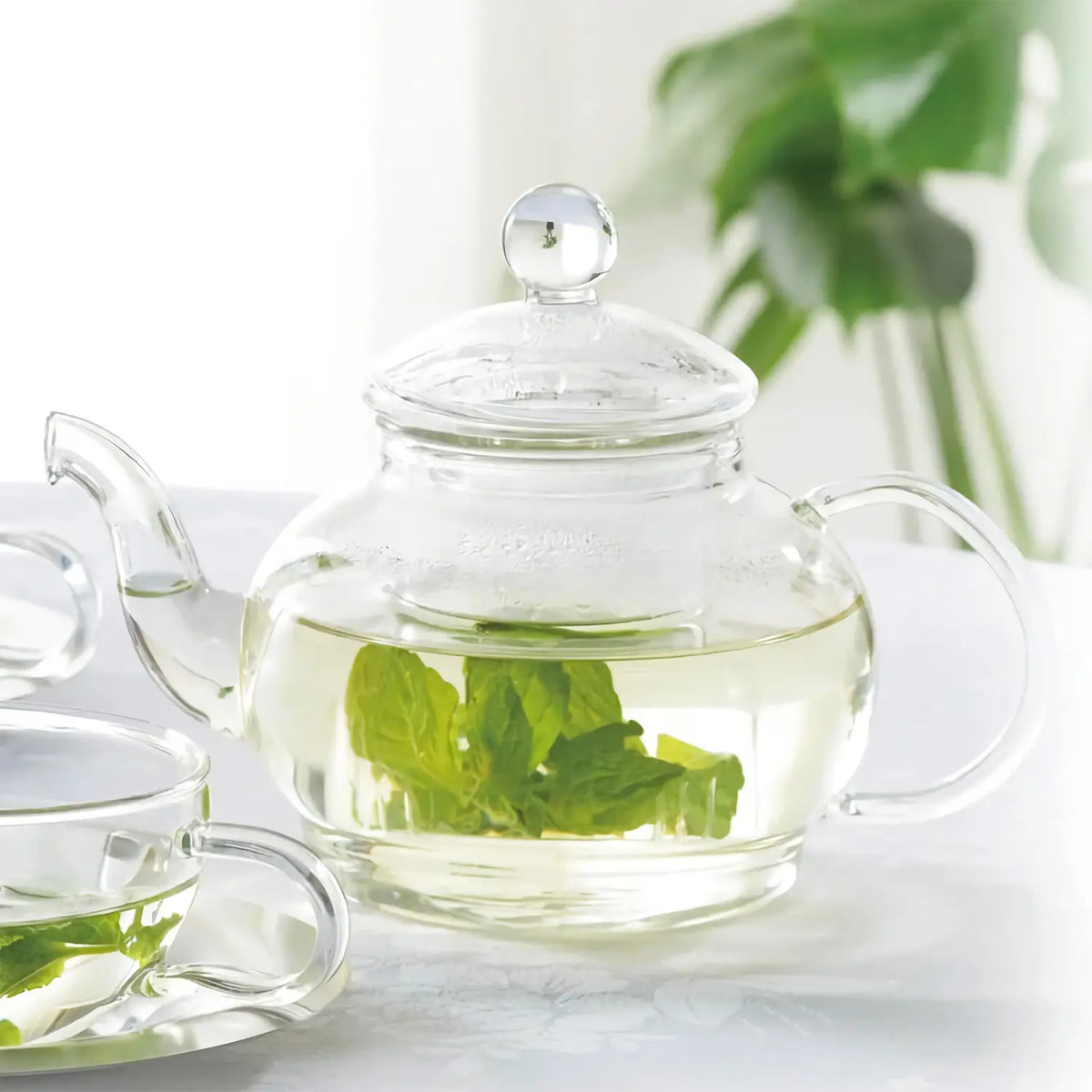 Asahi Heat Resistant Glass Teapot with Tea Strainer