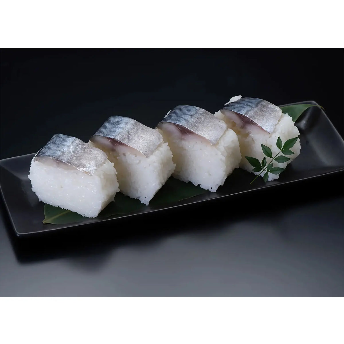 EBM Polyethylene Saba Sushi Mold