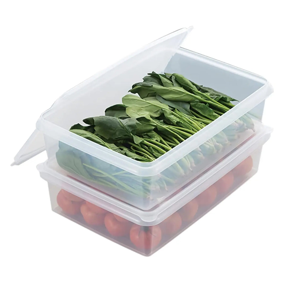 Entec High Pack Antibacterial Polypropylene Food Storage Container Large