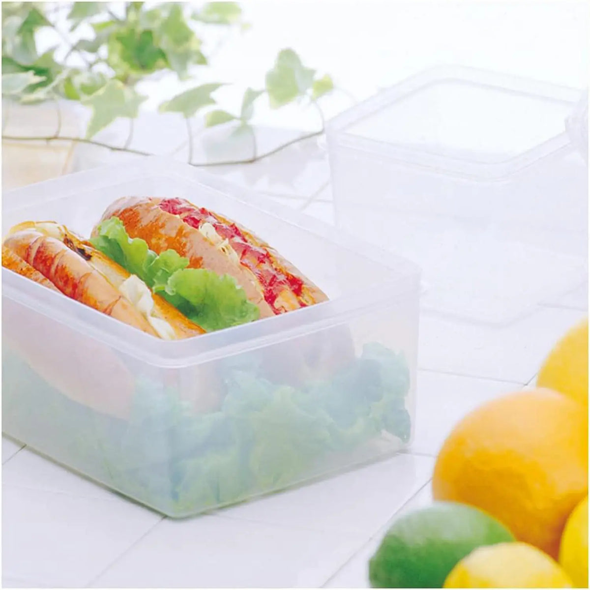 Entec High Pack Antibacterial Polypropylene Food Storage Container