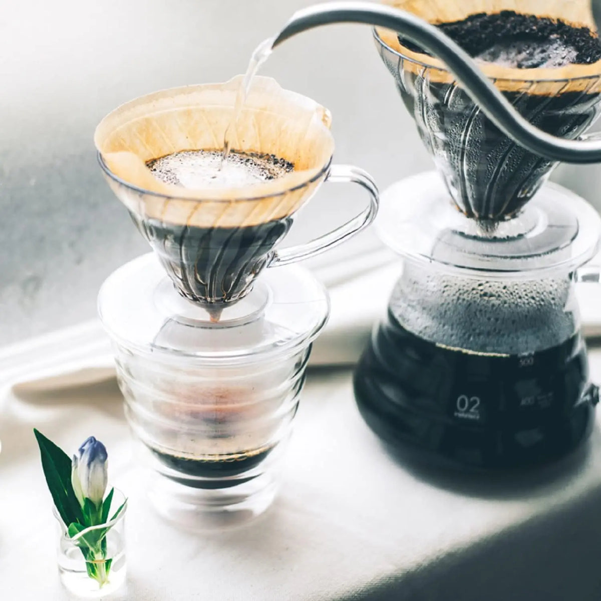 Hario V60 AS Resin Coffee Dripper