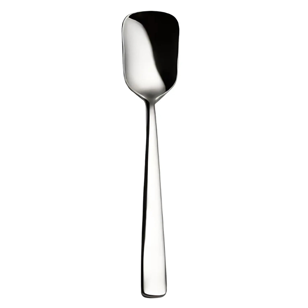 Luckywood Dayton Stainless Steel Ice Cream Spoon