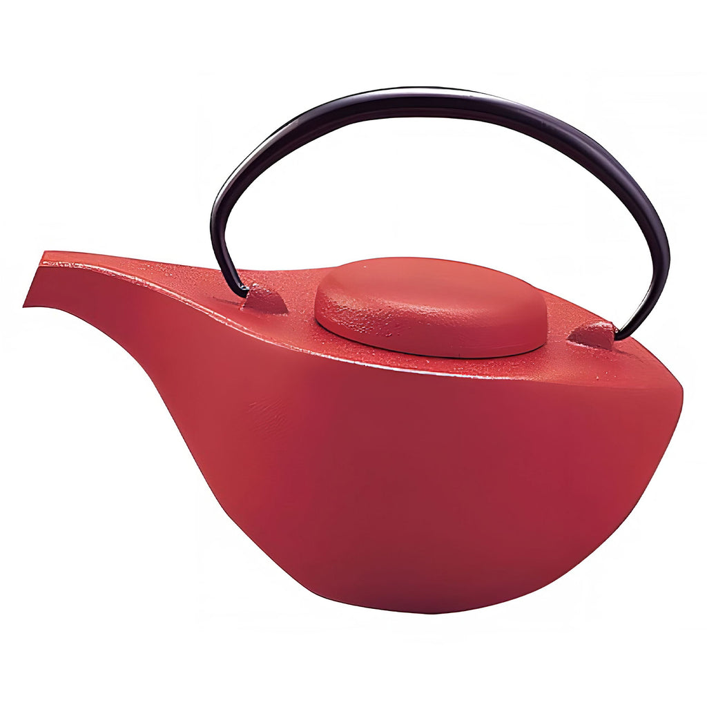 https://www.globalkitchenjapan.com/cdn/shop/products/IwachuCastIronTeapotHikifune12171_1_1024x1024.jpg?v=1656754102