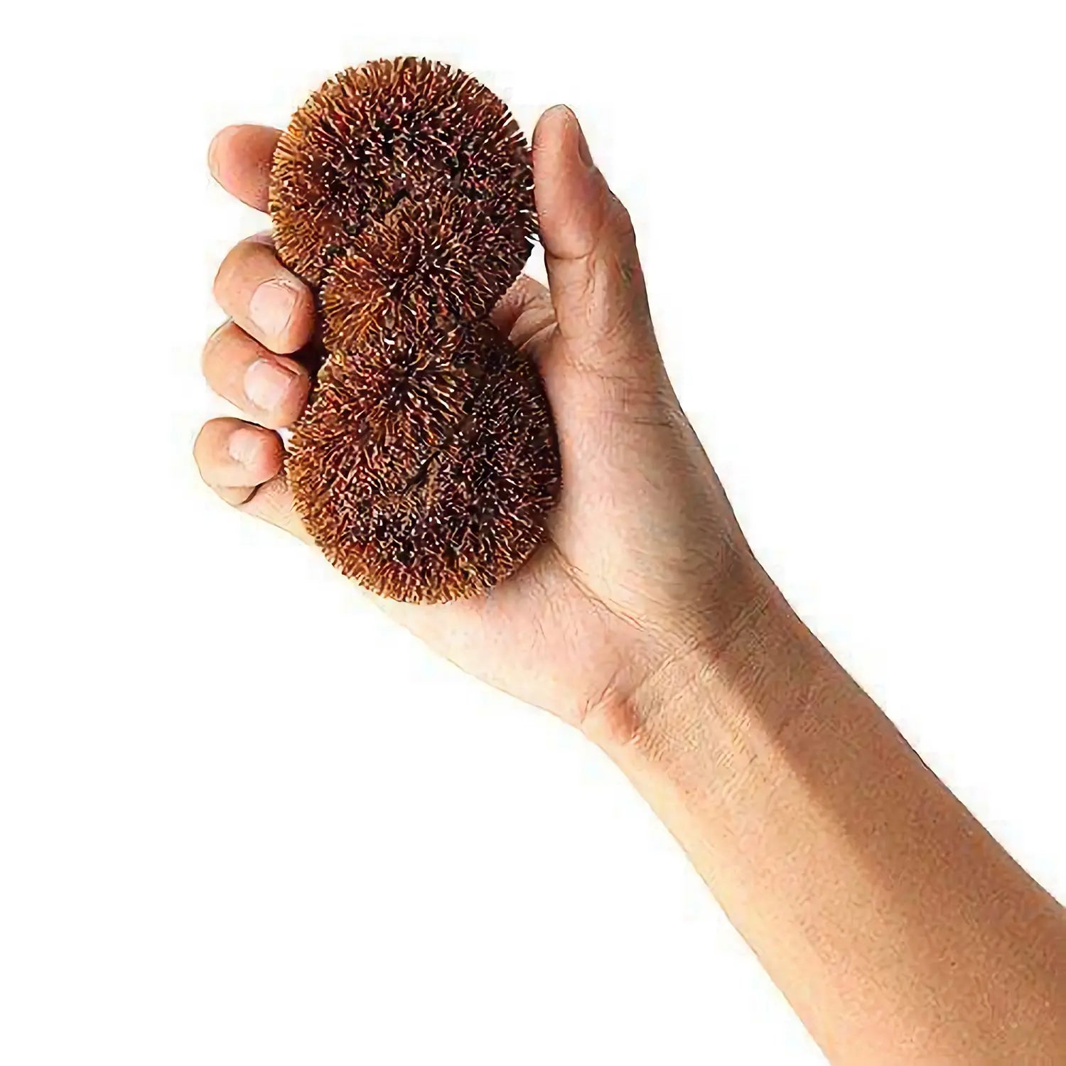 https://www.globalkitchenjapan.com/cdn/shop/products/KamenokoTawashiCoconutCoirFiberTwistedDishScrubber_Brown_2.webp?v=1665471844