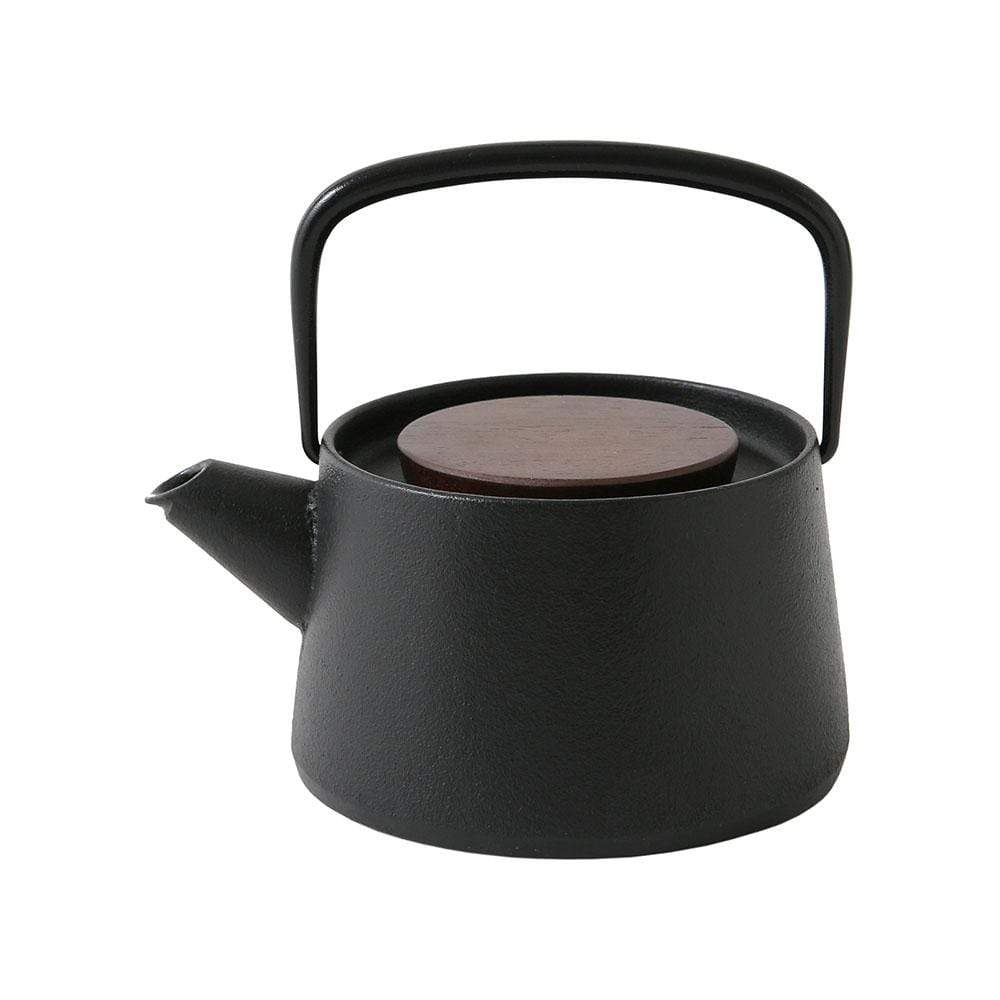 https://www.globalkitchenjapan.com/cdn/shop/products/ikenaga-induction-cast-iron-tetsubin-kyusu-teapots-7721839460435_1600x.jpg?v=1564063560