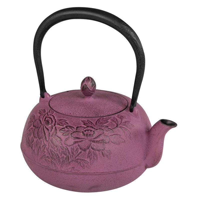 tetu Japanese Cast Iron Kettle TETSUBIN NAMBU Modern Design